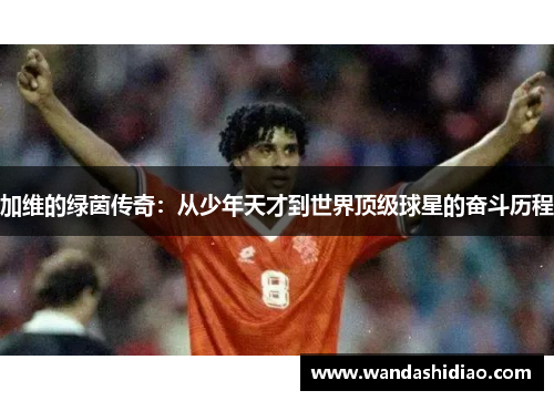 加维的绿茵传奇：从少年天才到世界顶级球星的奋斗历程
