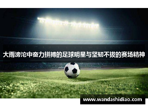 大雨滂沱中奋力拼搏的足球明星与坚韧不拔的赛场精神