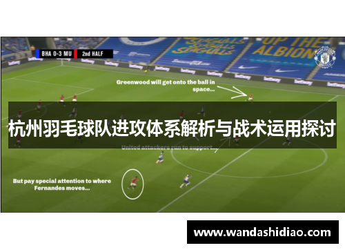 杭州羽毛球队进攻体系解析与战术运用探讨