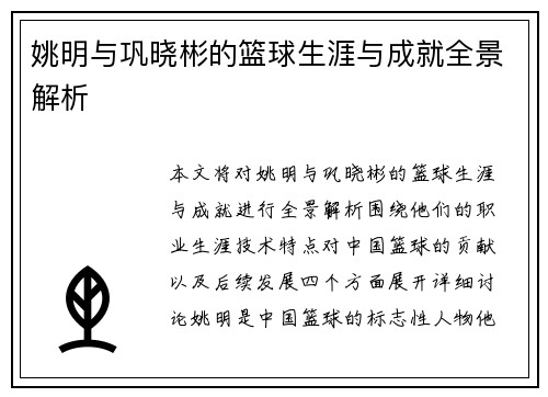 姚明与巩晓彬的篮球生涯与成就全景解析