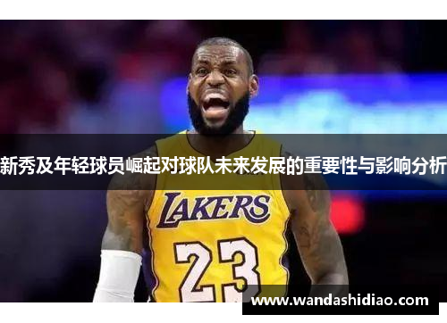 新秀及年轻球员崛起对球队未来发展的重要性与影响分析