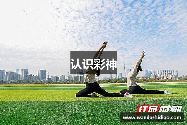认识彩神